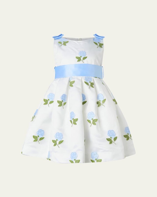 Girl's Rose Embroidered Organza Dress, Size 2-